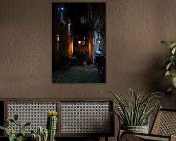 Dutch Alley at Night by Dario En Holanda