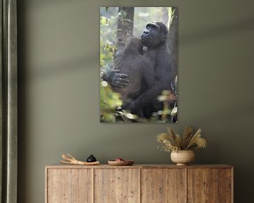 Westlicher Flachlandgorilla von Edwin Butter