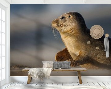 common seal