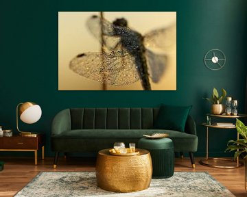 Golden dragonfly van Nienke Castelijns