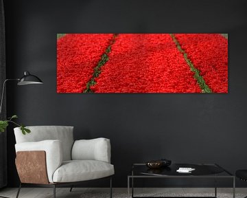 Red Tulip field symmetry von Sjoerd van der Wal Fotografie