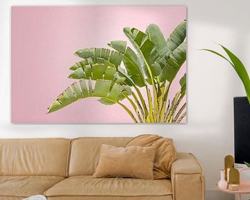 Tropical. Palm in Roze Pastel. van Alie Ekkelenkamp