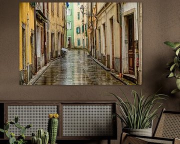 Muggia italia