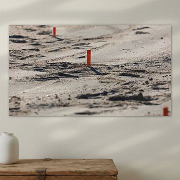 Picket line struck by STEVEN VAN DER GEEST