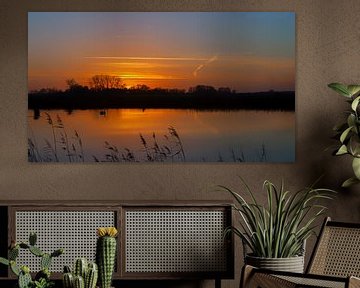 Sonnenuntergang mit Schwan Onlanden Drenthe Niederlande von R Smallenbroek