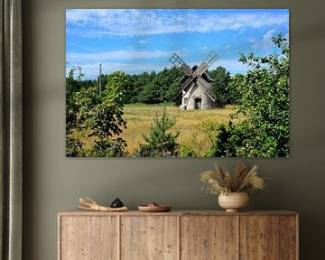 Picturesque windmill by Frank's Awesome Travels