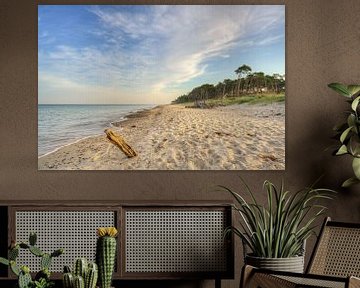 Un matin sur la plage ouest de Darßer sur Michael Valjak