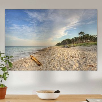 A morning on the Darßer Weststrand