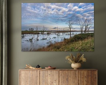 De Biesbosch maakt ruimte voor de rivier