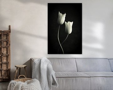 Dansende witte tulpen van Clazien Boot