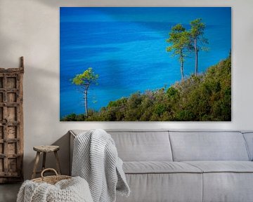 Trees on the ligurian coast with ocean in background by Robert Ruidl