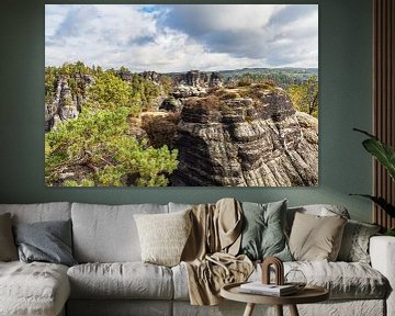 Blick auf Felsen und Bäume in der Sächsische Schweiz von Rico Ködder