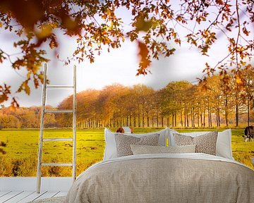 Nederlands landschap  van Shoots by Laura