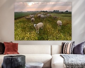 Schafen auf Texel  von Arjan Keers