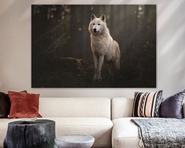 White wolf in the twilight van Laura Dijkslag