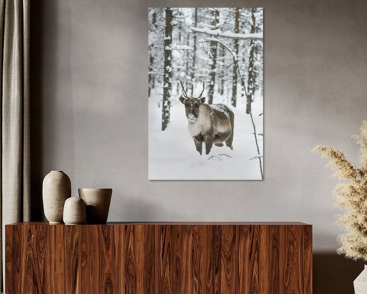 Raumvorschau