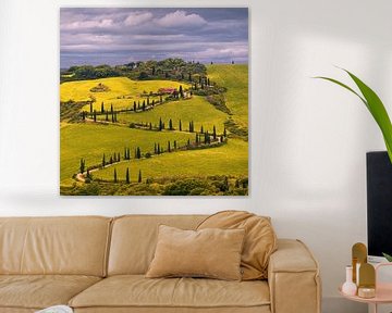 The winding Cypresses road near La Foce by Henk Meijer Photography