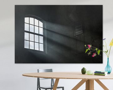 Light in Industrial Hall by Vlindertuin Art