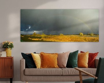 Rainbow during an autumn rain shower over the river IJssel by Sjoerd van der Wal Photography