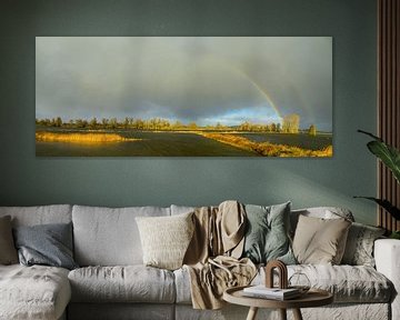 Arc-en-ciel lors d'une averse d'automne sur la rivière IJssel sur Sjoerd van der Wal Photographie