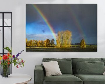 Arc-en-ciel lors d'une averse d'automne sur la rivière IJssel