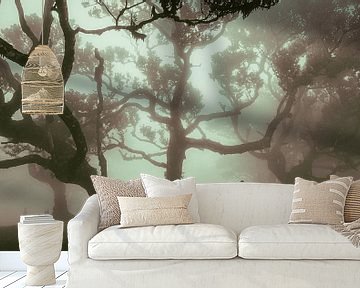 Mysteriöse Bäume im Nebel von Erwin Pilon