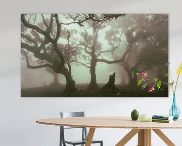 Mysterieuze bomen in de mist van Erwin Pilon