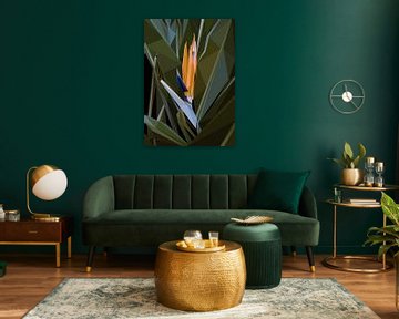 Bird of Paradise Flower Low Poly Abstract by Yoga Art 15