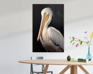 Pelikan portrait