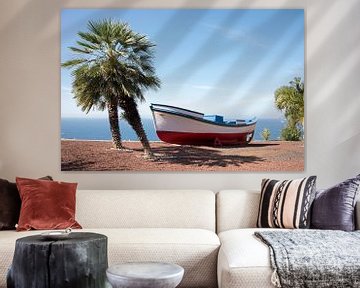 boat and palm teee in tropical climate van ChrisWillemsen