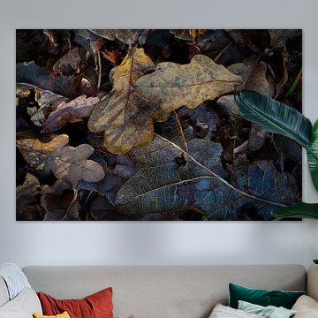 Fin de l'automne, pourriture dans la forêt