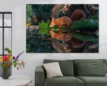 Eichhörnchen mit Spiegelbild im Sonnenlicht von Peter Sneijders