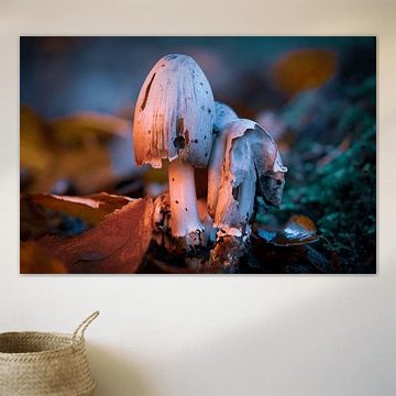 Tintenpilz in Herbstfarbe