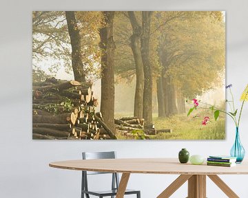 Gekapt hout en bomen op een mistige herfst ochtend van KB Design & Photography (Karen Brouwer)