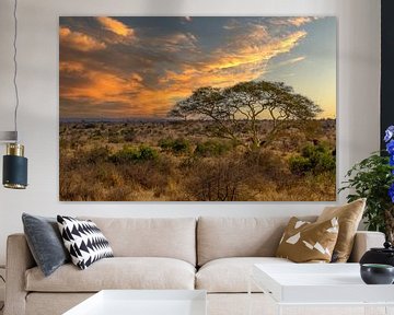 Paysage sud-africain avec un ciel magnifique sur Ineke Huizing