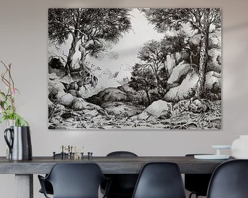 Zwart-wit pen en inkttekening - Rotsen en bomen