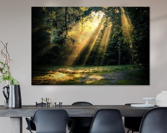 Voorbeeld van het werk in een kamer