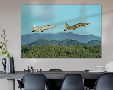 Taiwanesische Northrop F-5F und F-5E Tiger II.