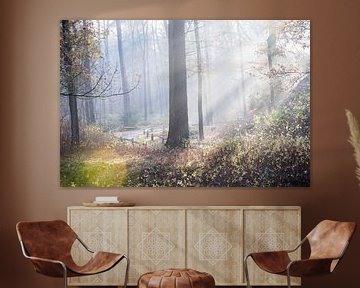 Sun beams the Zeister woods! by Peter Haastrecht, van