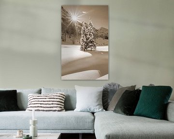 Twee winterbomen in de zon van Christa Kramer