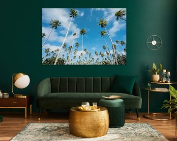 Palmbomen in Polynesië van Karlijn Meulman