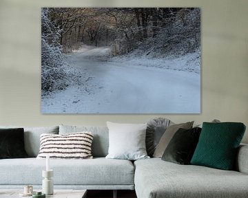 Bevroren en besneeuwt voetpad in het Noordhollands Duinreservaat Bergen aan Zee van Bram Lubbers