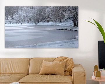 Winter wonderland in the Bergen aan Zee North Holland Dune Reserve by Bram Lubbers