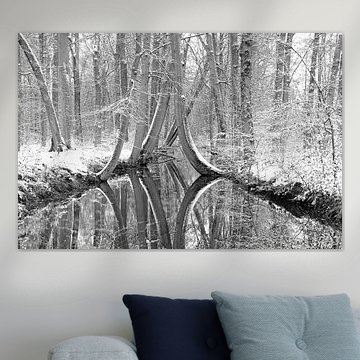 The dancing trees by the little bridge