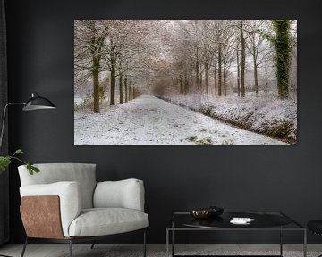 Nienoord estate in the snow near De Bult by R Smallenbroek