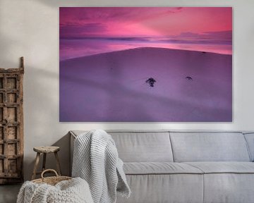 Purple evening at the beach - 2 van Damien Franscoise