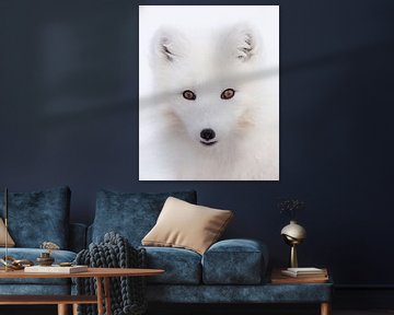 Portrait d'un renard arctique sur Gladys Klip