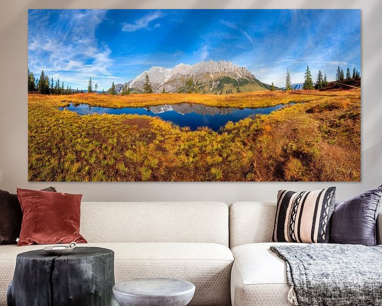 Aperçu de la chambre