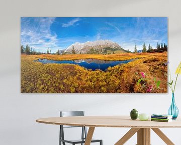 Fantastic autumn panorama by Christa Kramer
