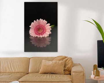 Reflet d'un gerbera rose sur fond sombre sur Inez VAN DE WEYER